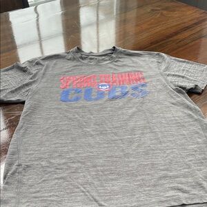 Men’s Medium Gray Cubs Spring Training T-Shirt